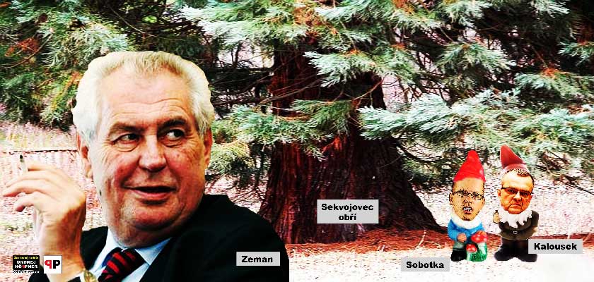 Prezident Zeman sází: „Jsou lidé, které zajímá Miroslav Kalousek. Jsou lidé, které zajímá Bohuslav Sobotka. A já jsem člověk, kterého zajímá sekvojovec obří.“