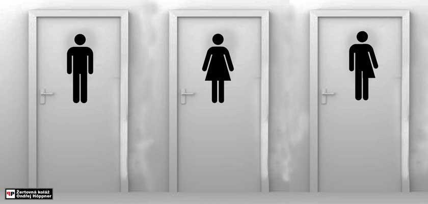 Obtěžuje vás „transgender“ na toaletě? Stěžujete si? Půjdete před soud! Chcete se léčit z homosexuality? Zákaz! Evropský Lunacek volá: Dohnat a předehnat!