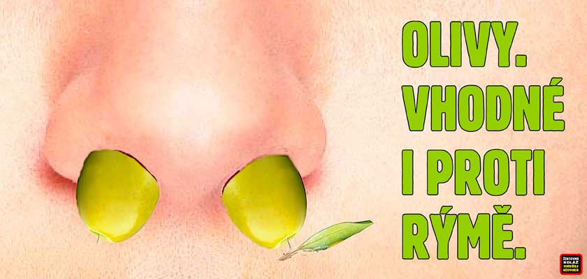 Bolí vás hlava? Vezměte si olivový olej. Něco na vás leze? Máte kocovinu či kuřácký kašel? Olivový olej to zvládne! Co mají společného olivy a okena?