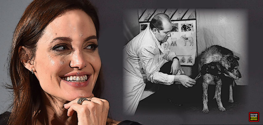 Dobrá zpráva nejen pro Angelinu Jolie: První transplantace hlavy na spadnutí. Feministky, gayové i pedofilové jásají. Ovečka Dolly byla piplačka v kádince. Na scénu přicházejí řezníci. Sláva pokroku!