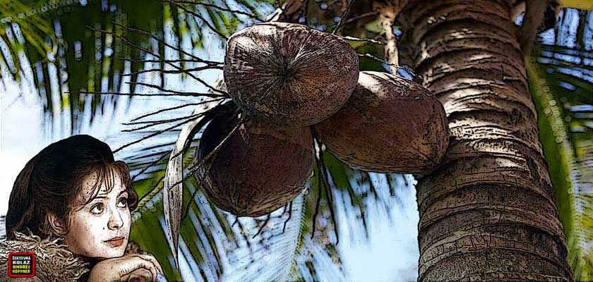 Otázky do pranice: Co je zdravý tuk? Vydrží kokosový olej věčně? Budeme mít po smažení pánev od krve? Zdraví není masovka. Co je dobré pro jednoho, může druhého dorazit.