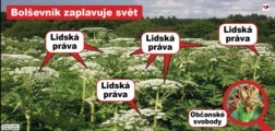 Obamova Amerika: „Upeč dort pro homosexuály, nebo si na tebe posvítíme“! Teror lidských práv jako kladivo na občanské svobody. Orwel to věděl