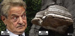 George Soros, „důstojník“ falangy Nového světového řádu: Dosadil Havla na Hrad a Obamu do Bílého domu. Ukrajina a protiruské tažení také páchnou jeho penězi