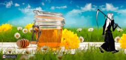 Med jako „přírodní očkování“ před chřipkovou sezónou: Lék na akné i pomocník proti rakovině. Jak poznat včelí produkt, který pomůže a není nebezpečný?